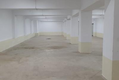 Hala depozitare sau productie 600 mp. Comision 0% - 4