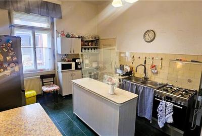 Casa individuala S+P 215mp cu pivnita teren 900mp Sub Arini - 17