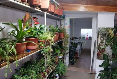 Casa individuala in oras. Zona linistita. - 14
