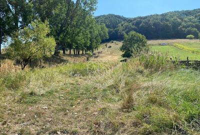 Teren intravilan 2600 mp - pretabil casa/investitie-Zona Aerodrom - 8