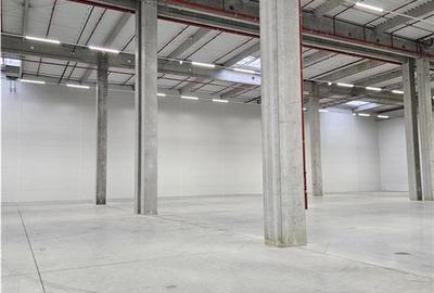 Spatiu Industrial - 3500 mp - Logistica - Productie - Depozitare - 12