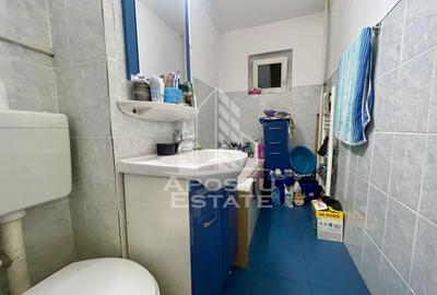 Apartament cu 1 camera de vanzare, etaj 2, zona Buziasului, Timisoara - 5