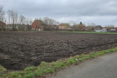 Vanzare teren de case, 3000 mp, Halchiu, - 1