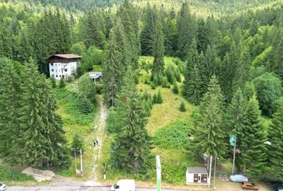 Teren Intravilan Predeal - Acces direct DN - Priveliste deosebita - 11