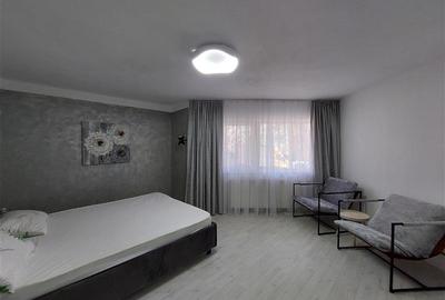 Apartament renovat, parter, zona P-ta Mihai Viteazul - 13