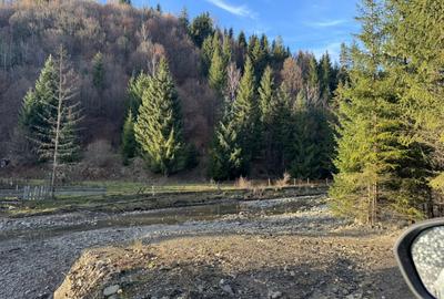 De vanzare 6850 mp pasune langa Manastirea Doroteia - Frasin /Plutonita - 1