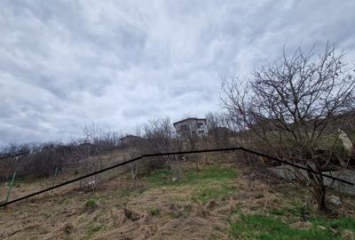 Teren cu toate utilitatile 584 mp, Dezmir zona str Criseni - 1