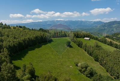 Teren Panoramic in Bran – Vedere spre Bucegi & Piatra Craiului - 12