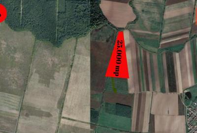 COMISION 0% Teren extravilan Mosnita in zona de Padurea Bistra - 25.000 mp - 3