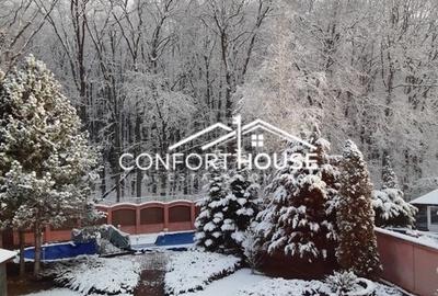 VILA D+P+E+M, 12 camere, piscina , padure, IANCU NICOLAE - 38