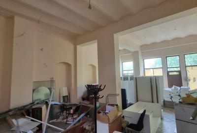 Casa lui Nicolae Dinischiotu - 60 camere - Imobil Istoric - 29