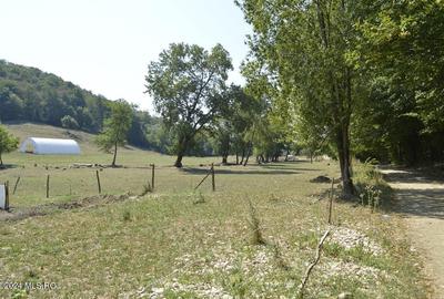 Bogati - Glimbocel, ferma zootehnica - cladiri 397 mp - teren 7490 mp! - 20