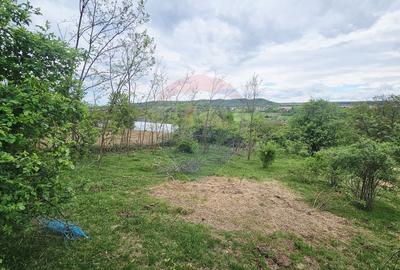 Teren 5,350mp Dobreni / Strada Manastirea Horaita - 18