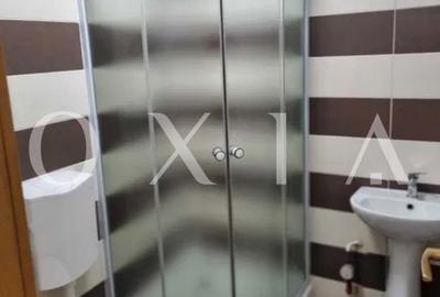 AX1236 Girocului, Mansarda, Centrala Proprie - 4