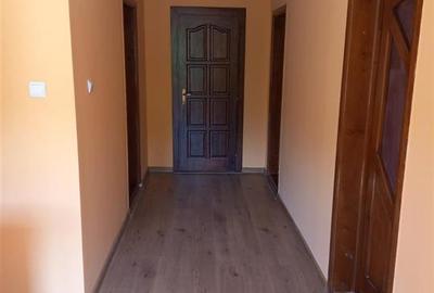 RECO Casa de vanzare Remeti - 1