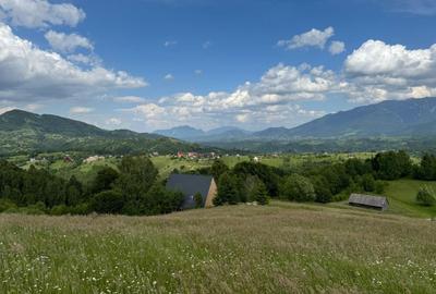 Teren inconjurat de natura de vanzare in Pestera - 2