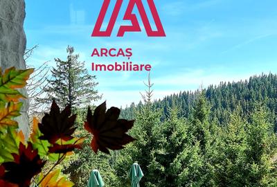 Afacere la Cheie Hotel de vanzare Statiunea Paltinis! - 12