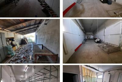 Proprietate compusa din casa si spatiu de productie sau depozitare NEGOCIABIL - 8