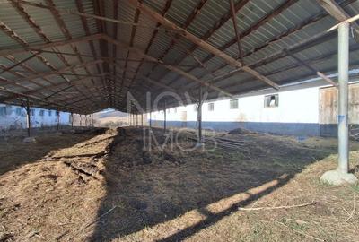 Ferma complet echipata de vanzare – zona Agnita, judetul Sibiu - 9