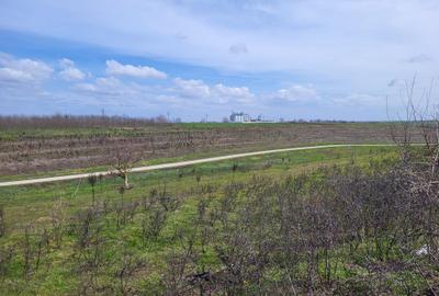 VANZARE TEREN PRUNDU INTRAVILAN AGRICOL GIURGIU POTENTIAL - 10