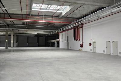 Spatiu Industrial - 3500 mp - Productie - Depozitare - Distributie - 6