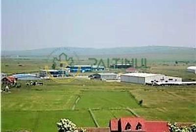 Teren de vanzare 6000 mp în Sibiu, Sura Mică - 6