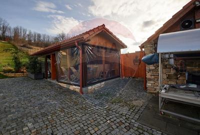Investitie turistica langa Cluj – pensiune cu crama - 25