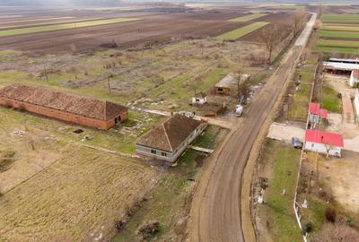 Fermă cu teren intravilan de 35000 mp în Mișca - 28