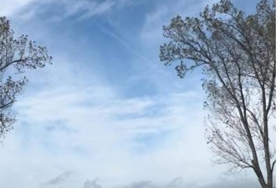 Teren Intravilan de 15.000 mp de vanzare in Ștefanestii de Jos. - 3