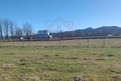 TEREN CU PLANTAȚIE DE TRANDAFIRI ,,ROSA DAMASCENA,\ \CARANSEBEȘ\JUD.CS - 6