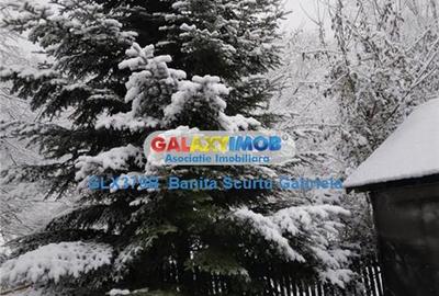 Vanzare vila   4 camere,,teren 730 mp zona Izvoarele,Prahova - 4
