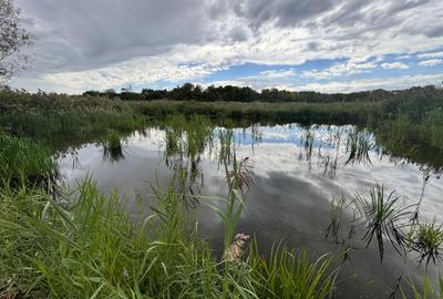 Teren cu deschidere la lac strada Orhideelor- conectare imediata la curent - 1