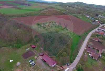 Teren agricol intravilan de 10000 mp, în Bădeni