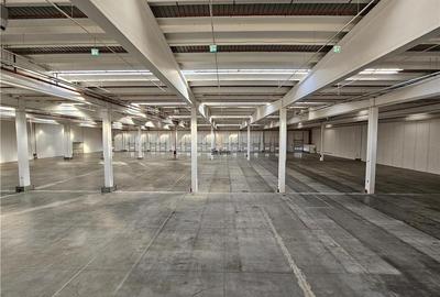 Spatiu Industrial - 5000 mp - Logistica - Depozitare - Distributie - 1
