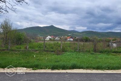Teren intravilan, comuna Siria - 3