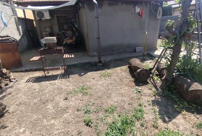 Casă individuală cu 2 camere în Brătianu