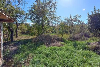 Renovata complet  2024 - 2500mp teren - 15