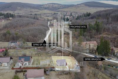 A-Frame | 50 mp | Vâlcele - 5