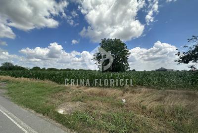 Vanzare teren intravilan 2965 mp - deschidere 26 m - str Gloriei - 1 Decembrie - 1