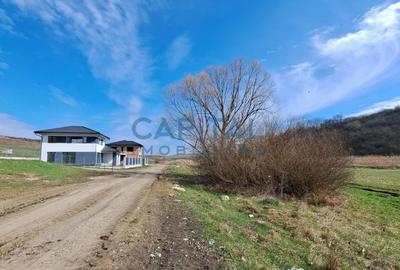 Casa superba cu garaj, aproape de padure - 2