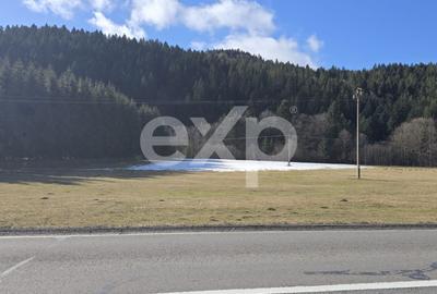 Teren extravilan 19.200 mp – DN1A Săcele, Brădet | Front stradal 130 ml - 7