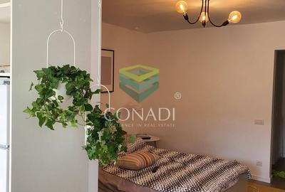 Garsoniera renovata modern str Nada Florilor - Teiul Domnei - 47