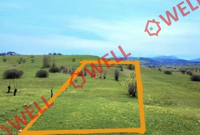 De vânzare teren extravilan în Sărămaș! - 8