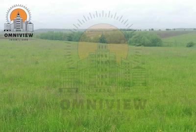 Teren intravilan Dobolii de Jos 47.700 mp | PUZ+autorizație | POT 50% - 9