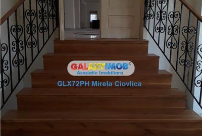 Vanzare imobil intreg  Spatiu Comercial  Hala Baicoi  Prahova - 10