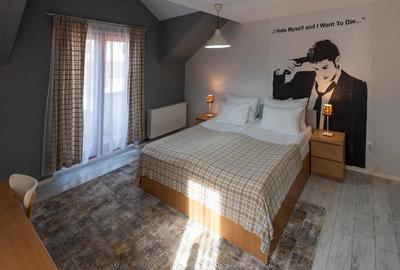 De vanzare Boutique Hotel Rocker's Inn, locatie functionala, zona Cheile Nerei - 6