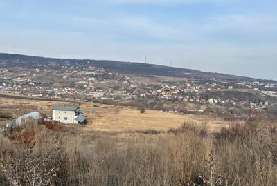 Teren 9.555mp front 28ml constructie ansamblu case Iris - 3