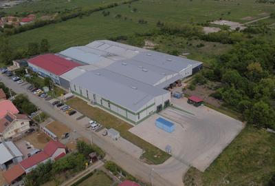 Hală producție/ depozitare de inchiriat Buziaș, Timiș - 3