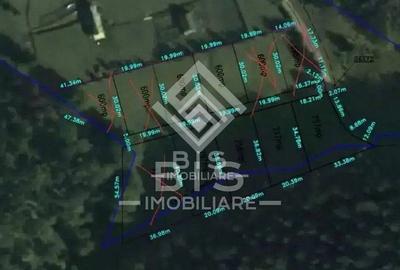 Teren intravilan parcelabil- Colibița, investitie - 6