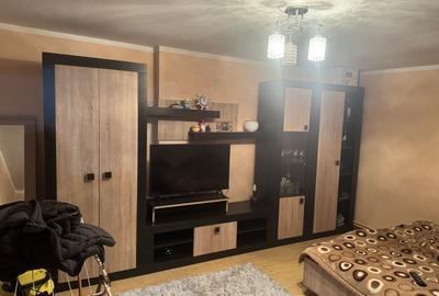 Casa Renovata Parter Becicherecu Mic,Vatra Veche,Teren Generos - 13